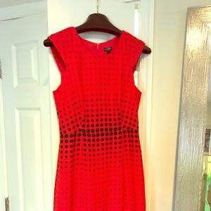 J.Crew Red and black knee length dress